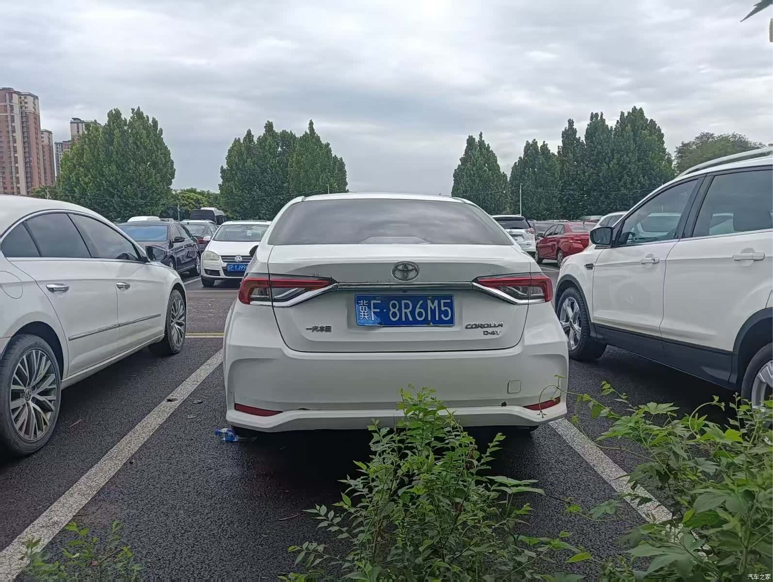 Toyota Corolla, 2022 8