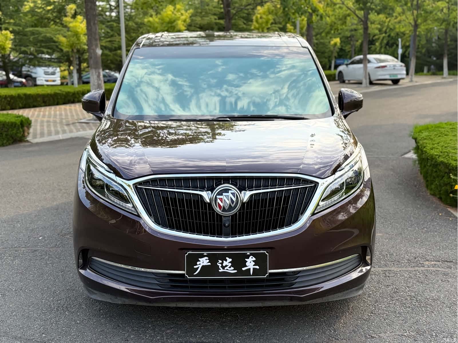 Buick GL8, 2019 2