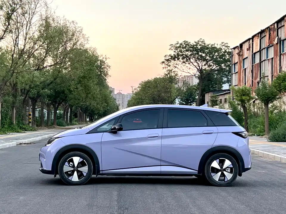 BYD dolphin