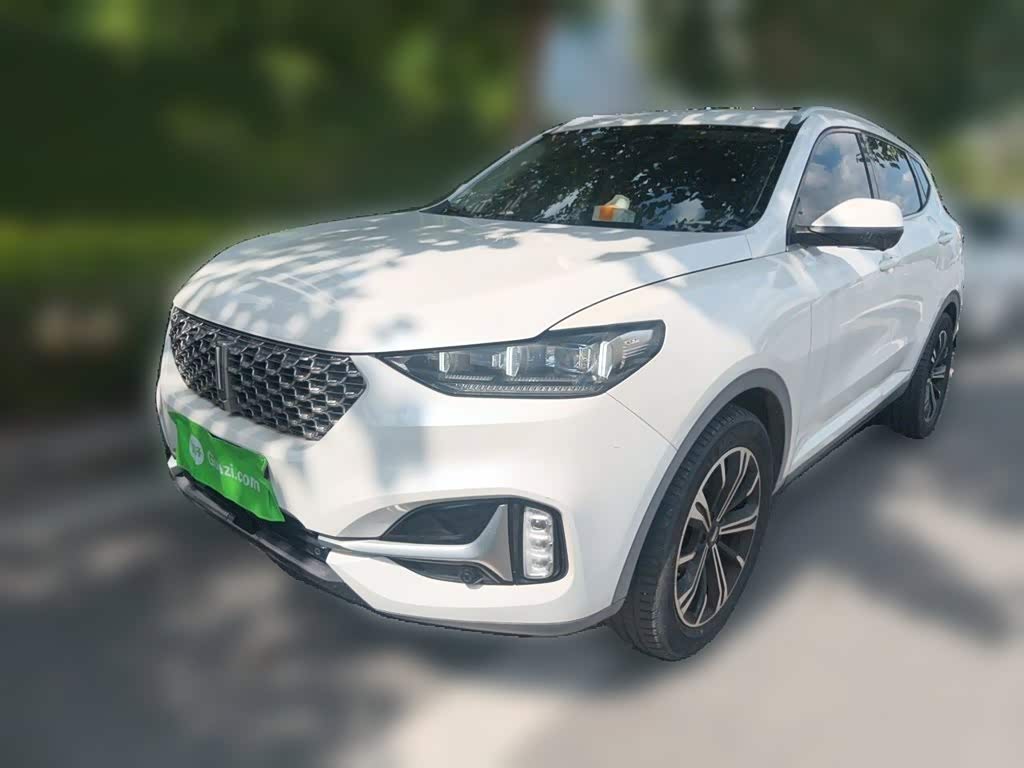 Wey VV6