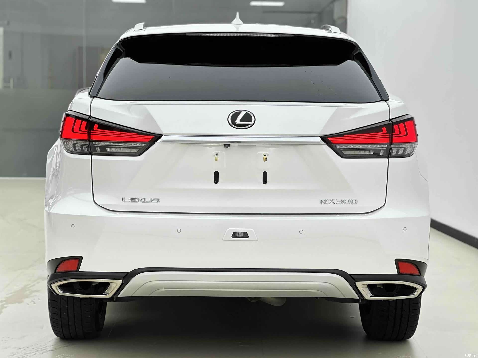 Lexus RX, 2022 4