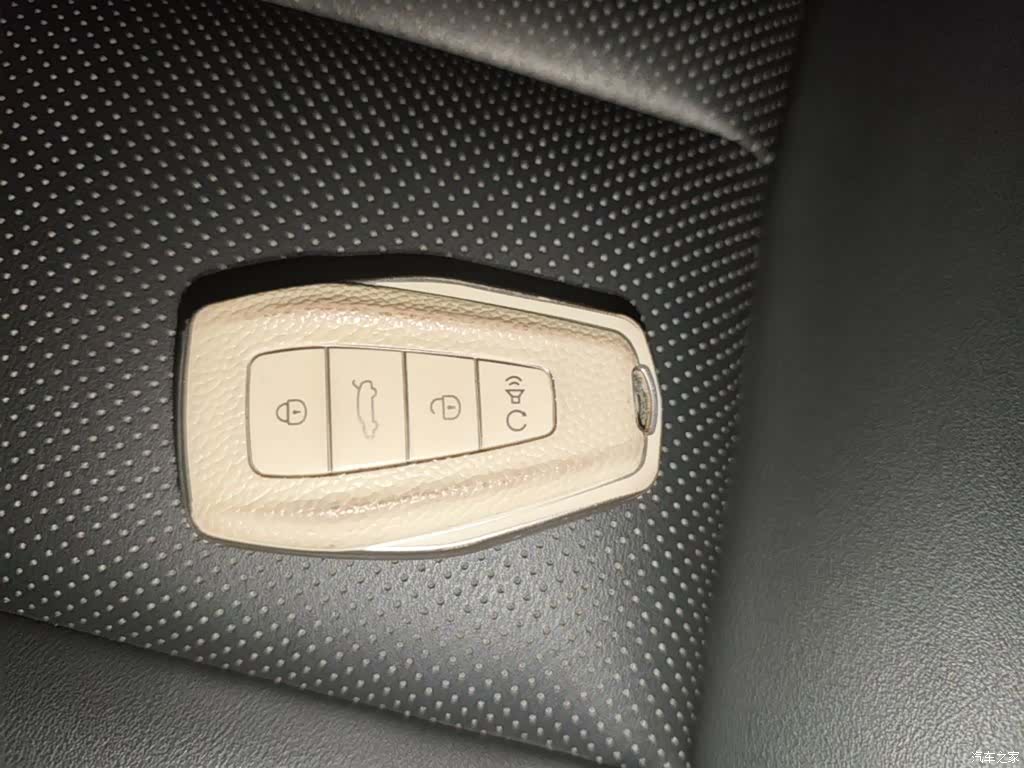Geely Binray, 2020 9