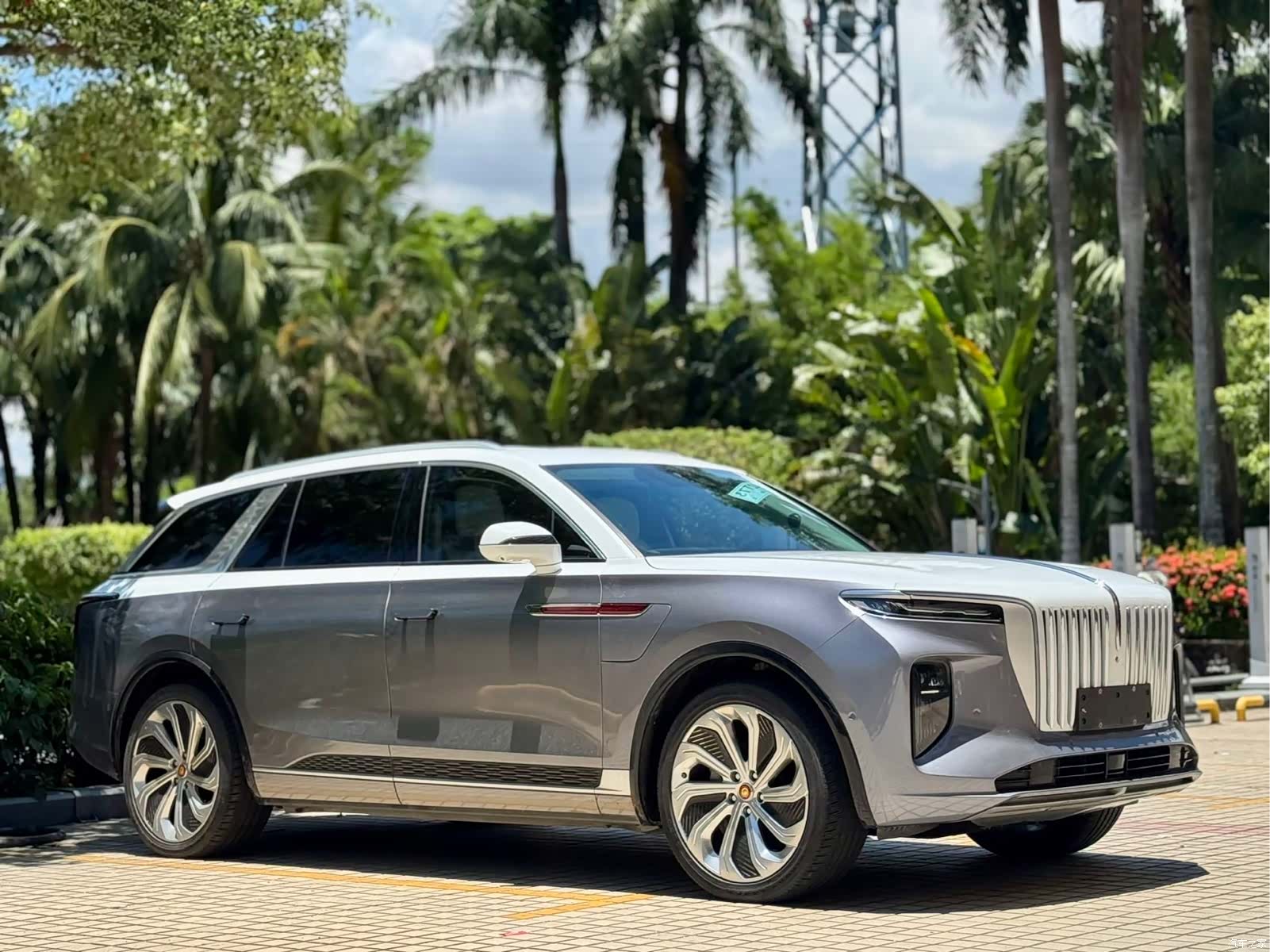 Hongqi E-HS9, 2021 3