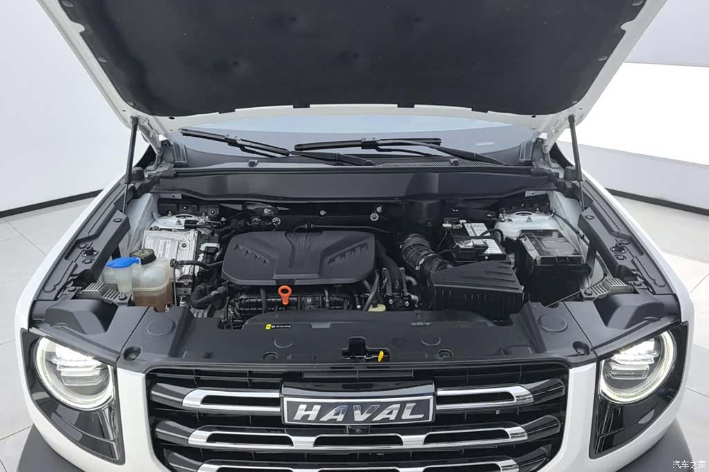 Haval Big Dog, 2022 10