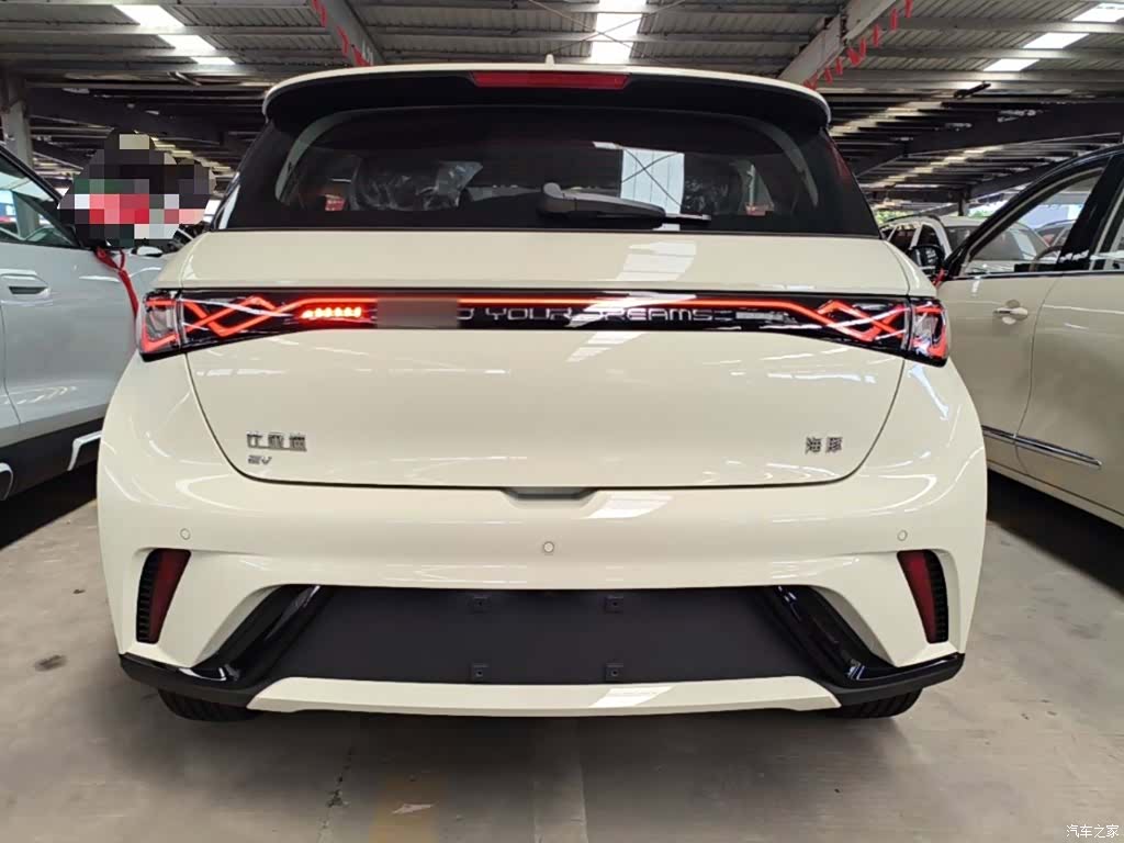 BYD Dolphin, 2026 6