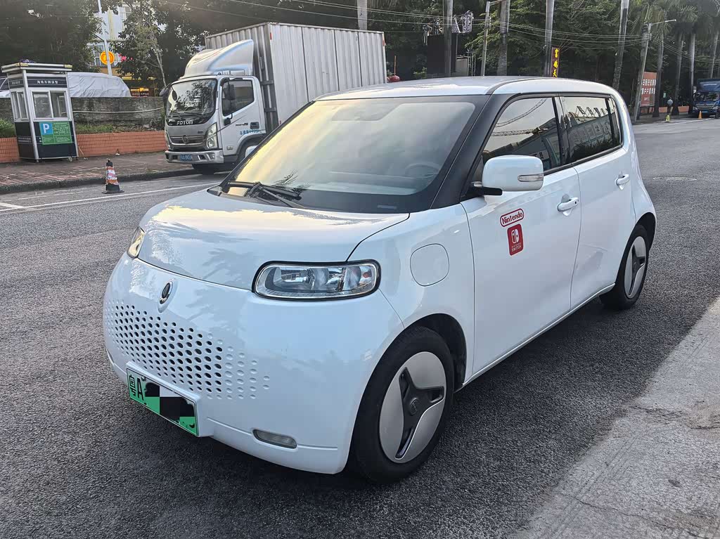 Ora 欧拉白猫