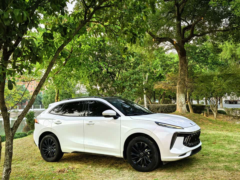 Forthing Popular T5 EVO