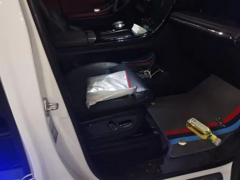 Trumpchi Trumpchi E9