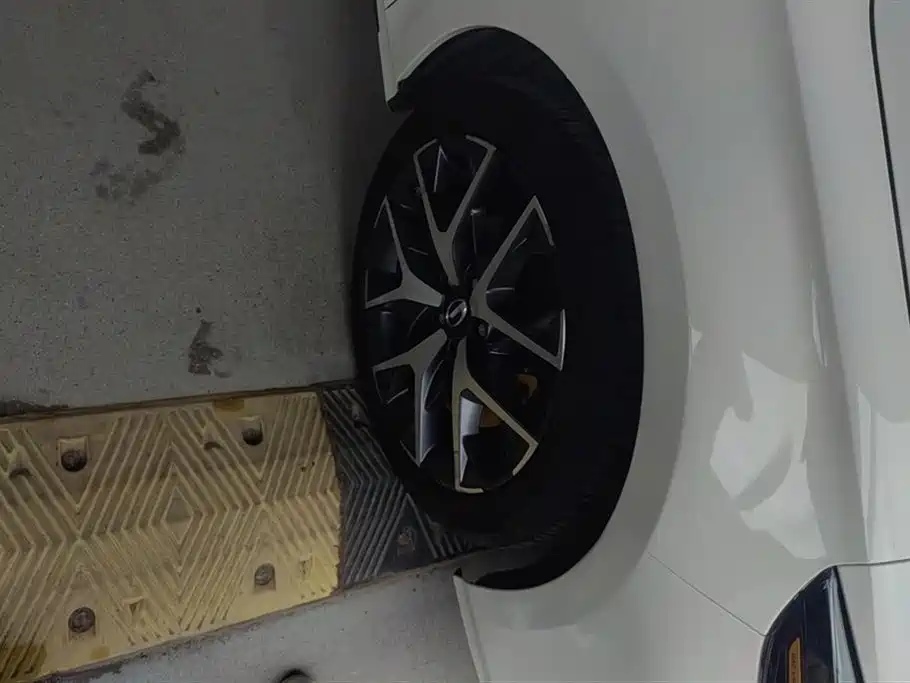 Trumpchi Shadow Leopard