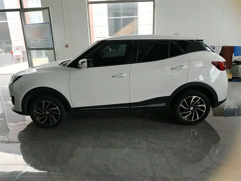 Zotye T300