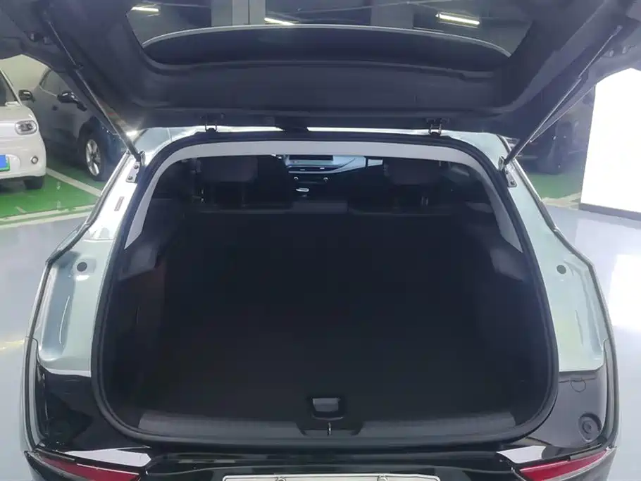 Buick Slightly blue 6