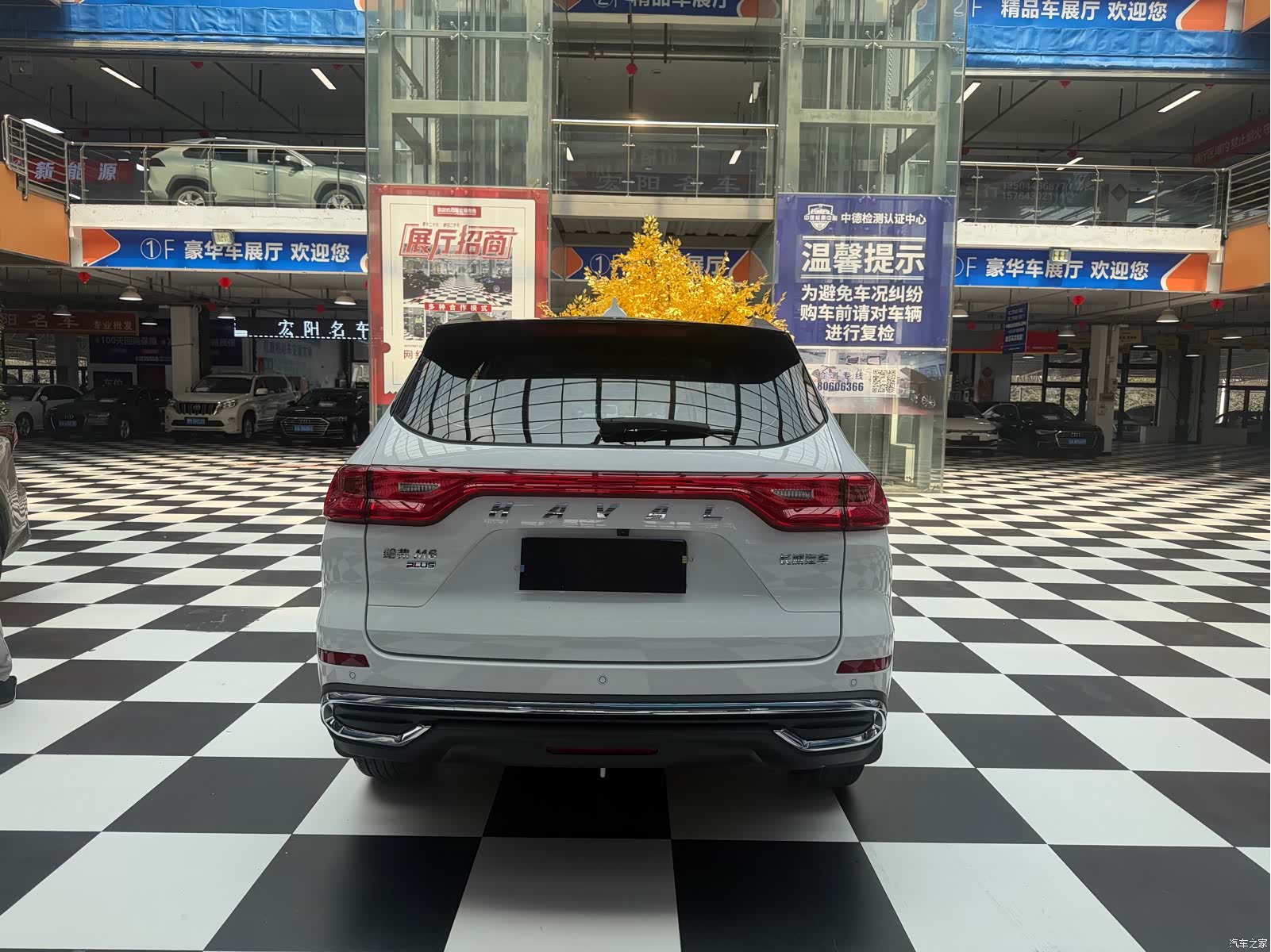 Haval M6, 2022 все фото