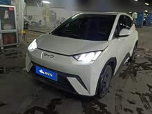 ��Ÿ 2024�� ��ҫ�� 305km ������