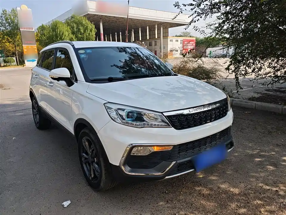 Leopaard Cheetah CS9