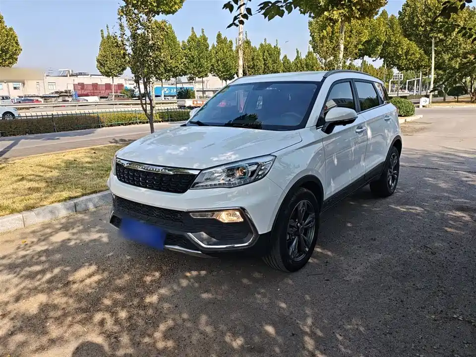 Leopaard Cheetah CS9