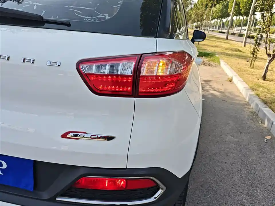 Leopaard Cheetah CS9