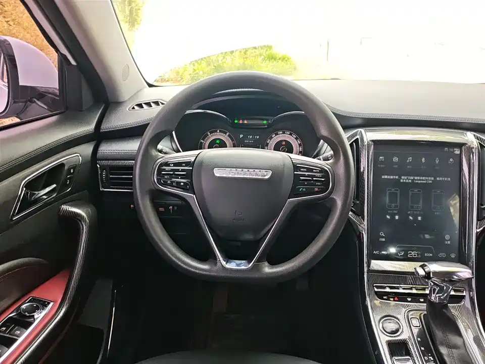 Leopaard Cheetah CS9