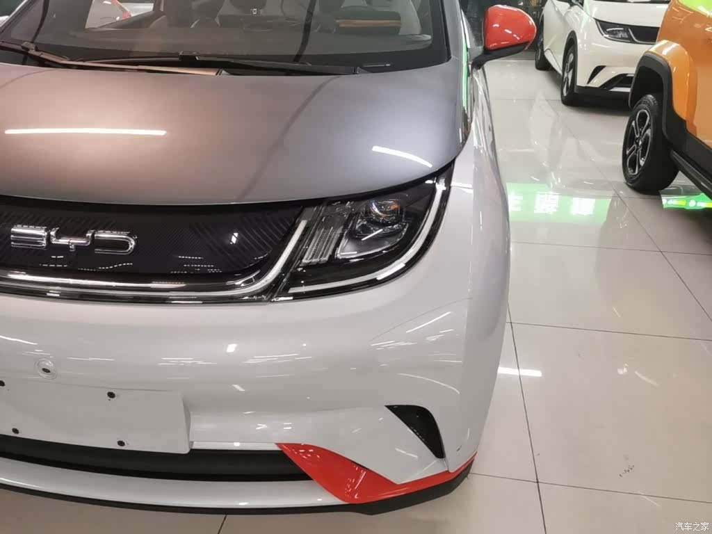 BYD Dolphin, 2022 24