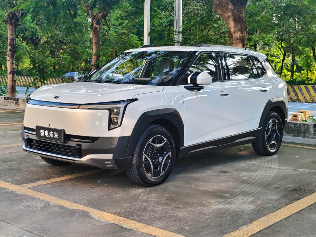 Dongfeng 06