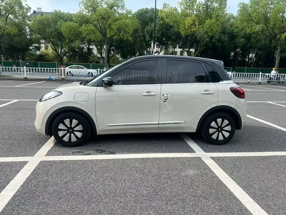 Wuling Wuling Bingguo
