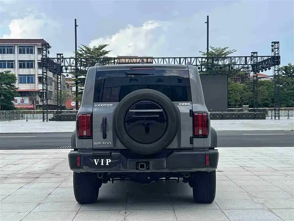 Tank 300