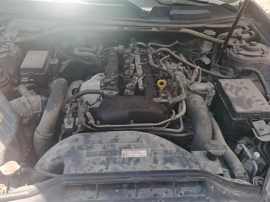 Hyundai Lawns-Coolpad