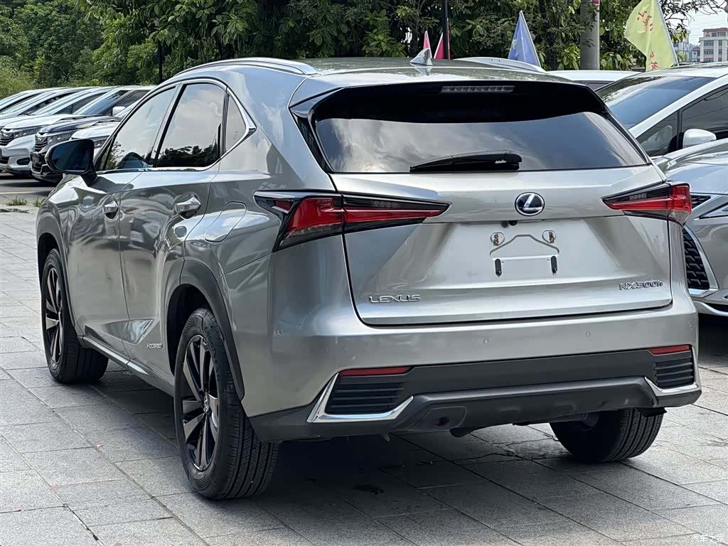 Lexus NX, 2020 6