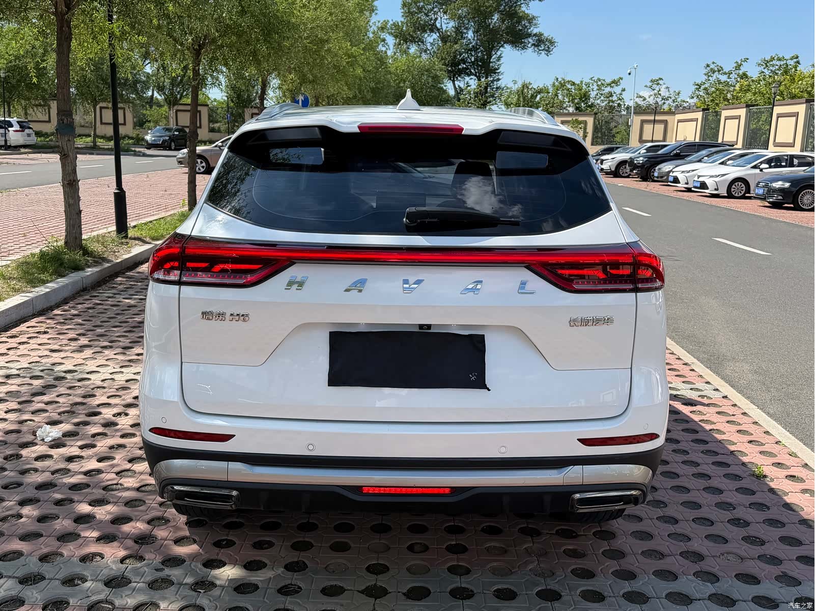 Haval H6, 2022 все фото