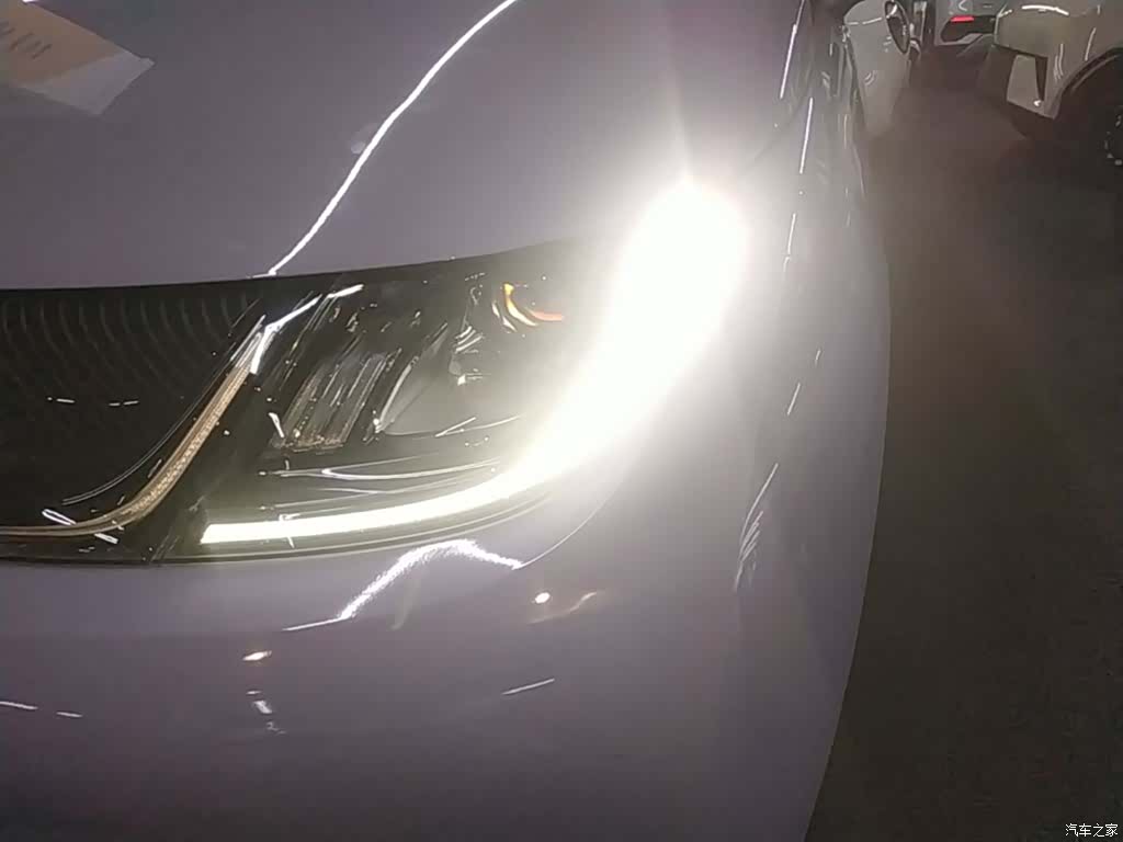 BYD Dolphin, 2024 24