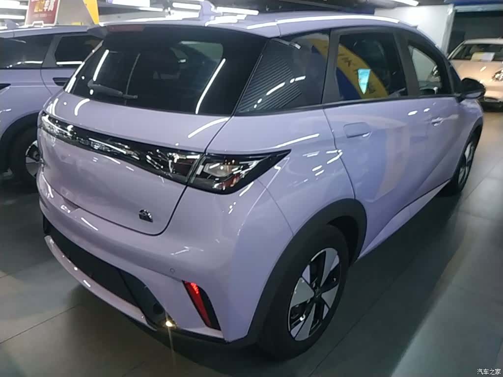 BYD Dolphin, 2024 7