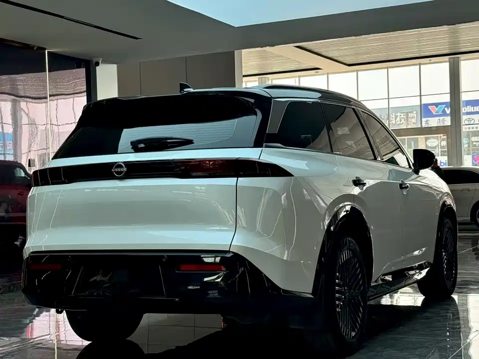 Nissan Exploring the land