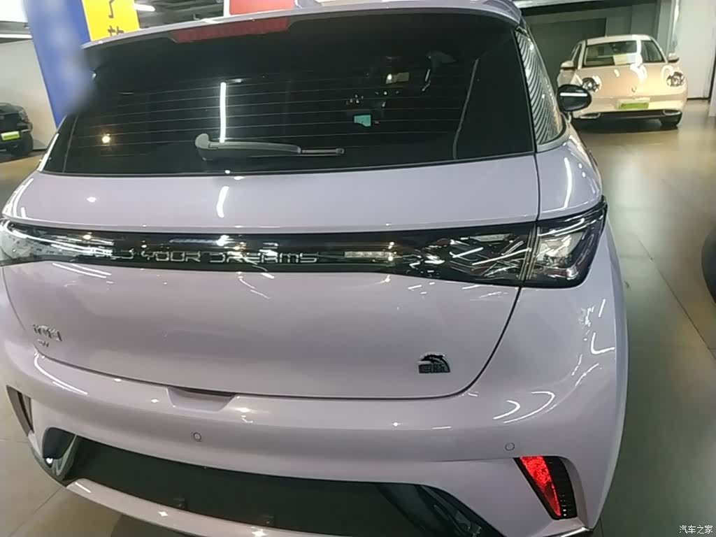 BYD Dolphin, 2023 6