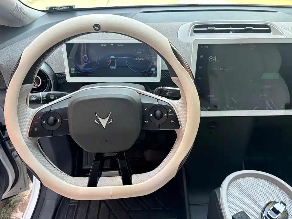 ARCFOX Polar Fox Koala S