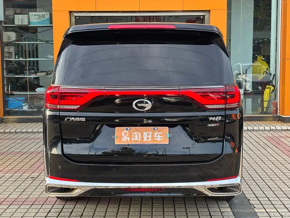 Trumpchi Trumpchi M8