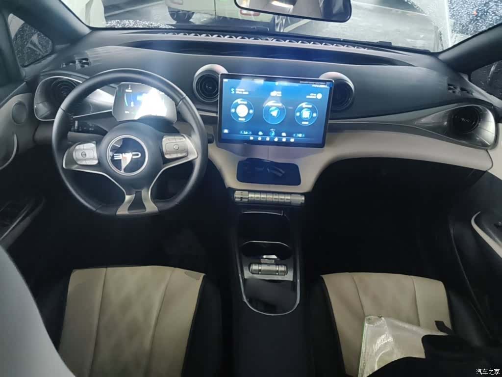 BYD Dolphin, 2024 6