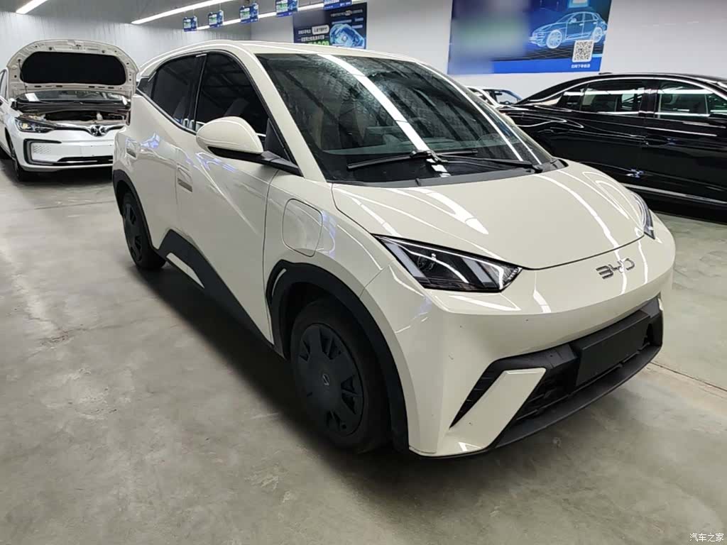 BYD Seagull, 2024 4