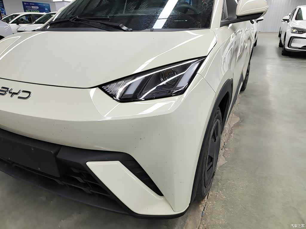 BYD Seagull, 2024 24