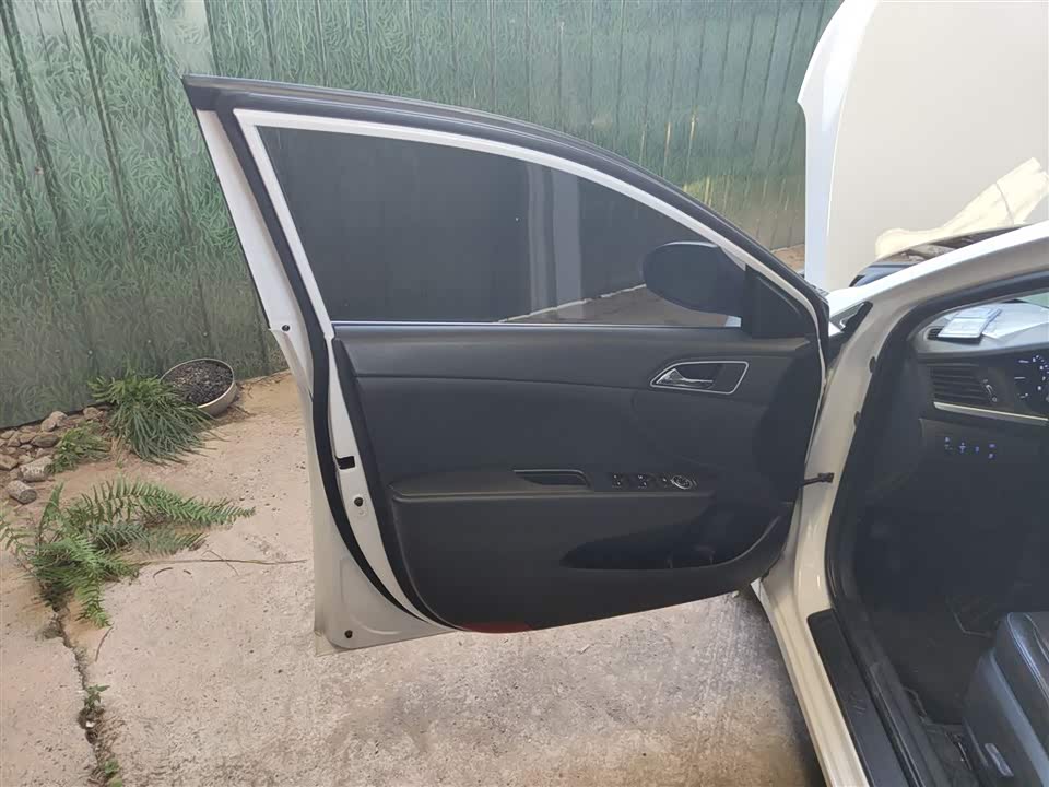 Hyundai Name picture