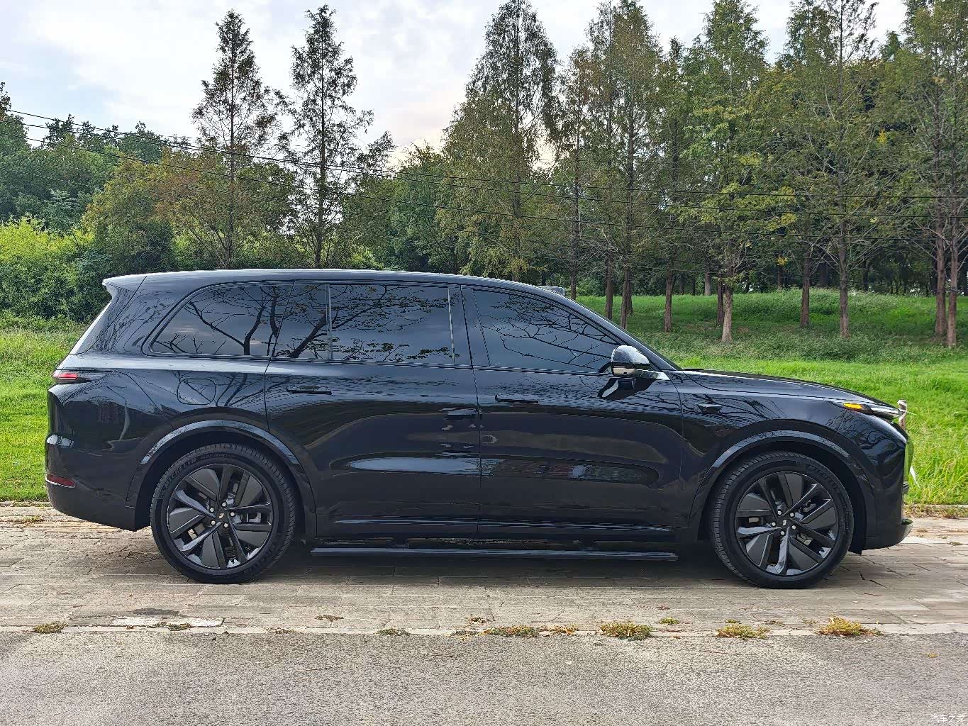 Li Auto L9, 2023 22