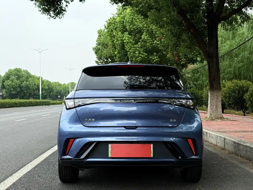 BYD dolphin