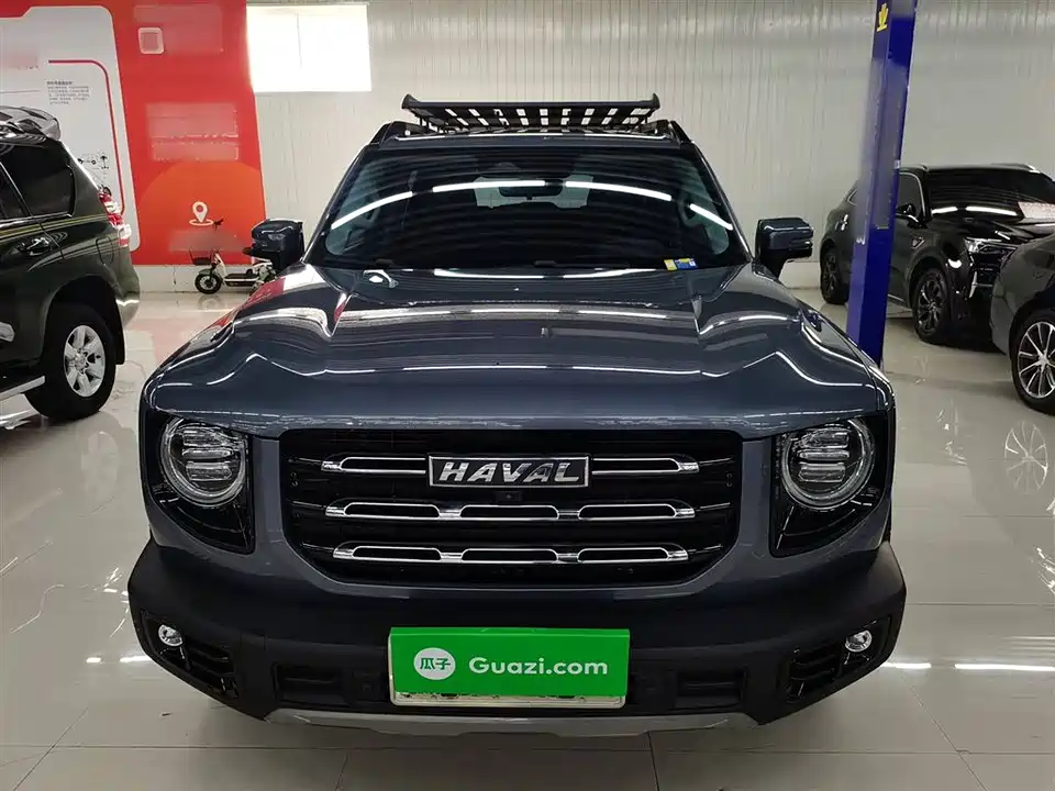 Haval Big dog