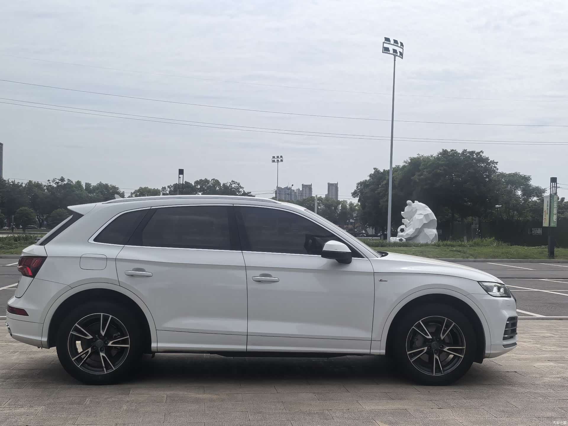 Audi Q5L, 2020 все фото