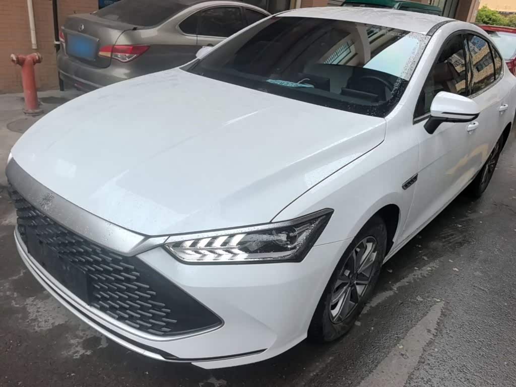 BYD Qin Plus PLUS 2024 DM-i 55KM Lead