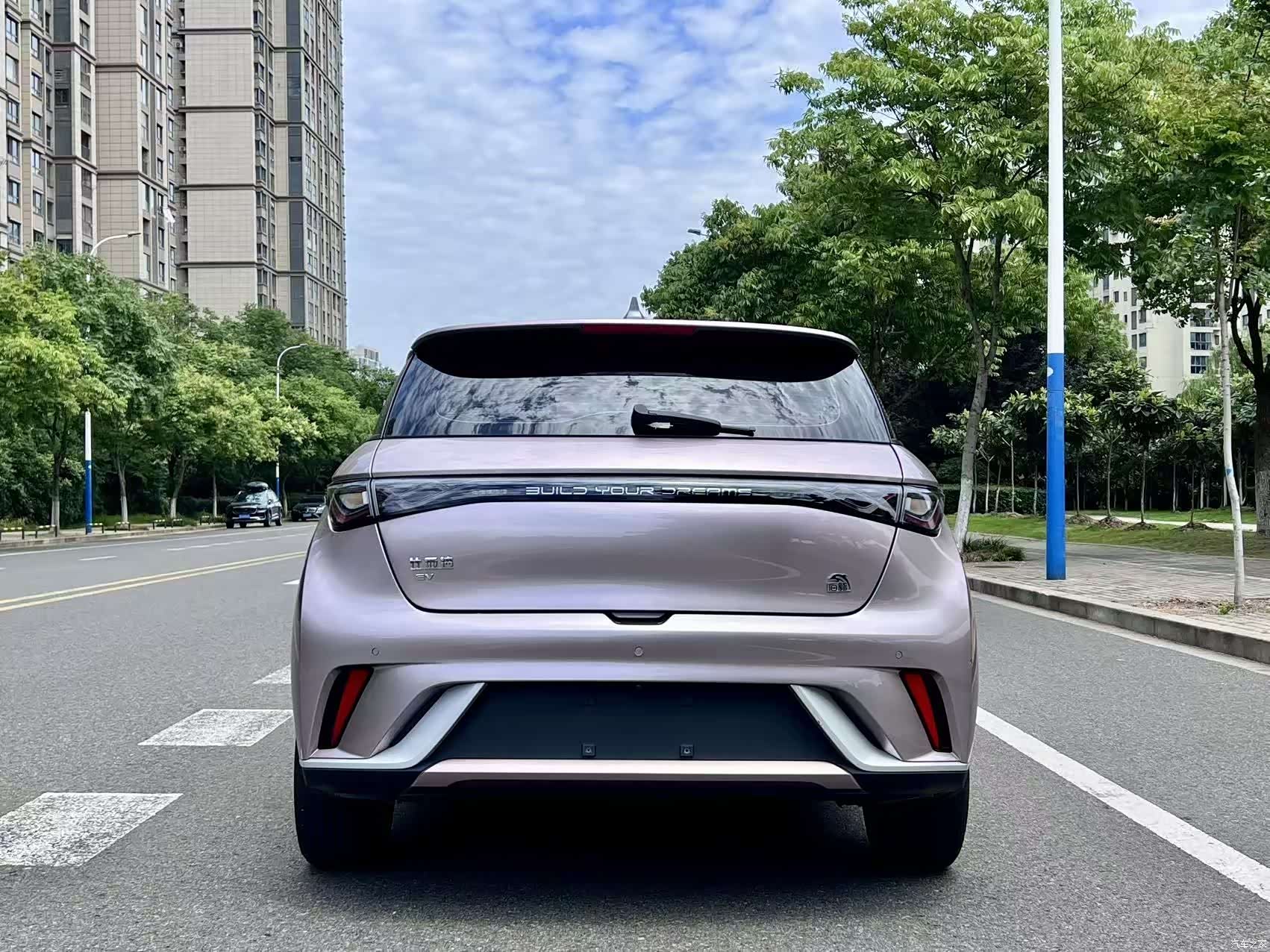 BYD Dolphin, 2023 4