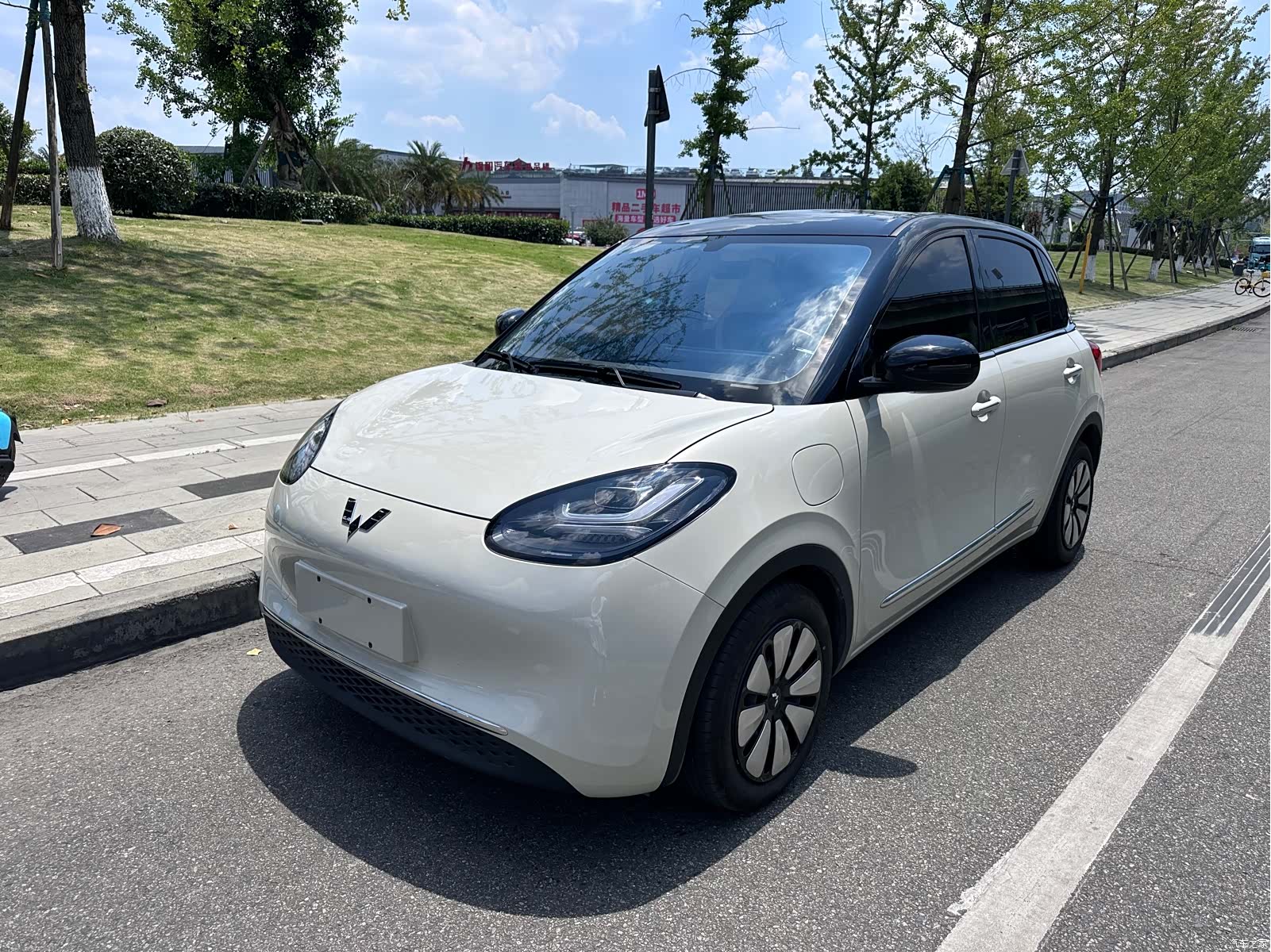 Wuling Bingo