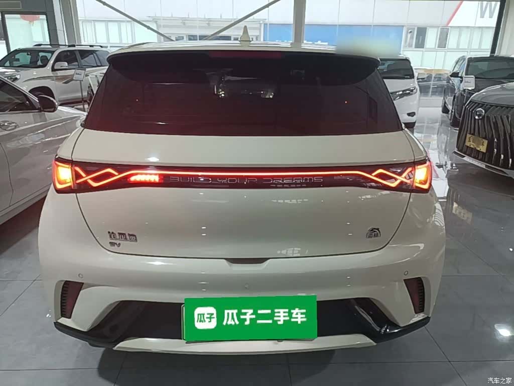 BYD Dolphin, 2022 6