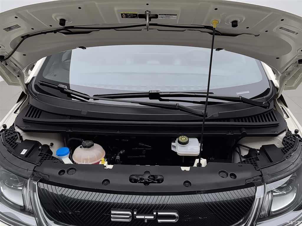 BYD Dolphin, 2024 6