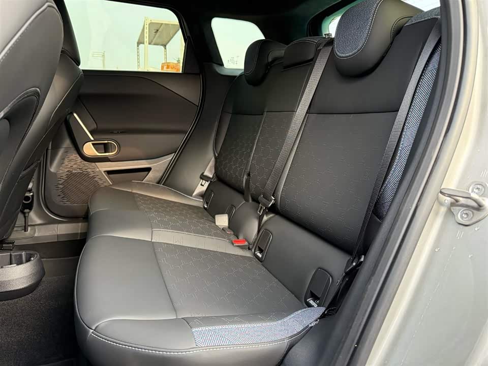 MINI Electric ACEMAN