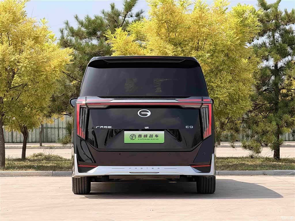 Trumpchi E9, 2024 26