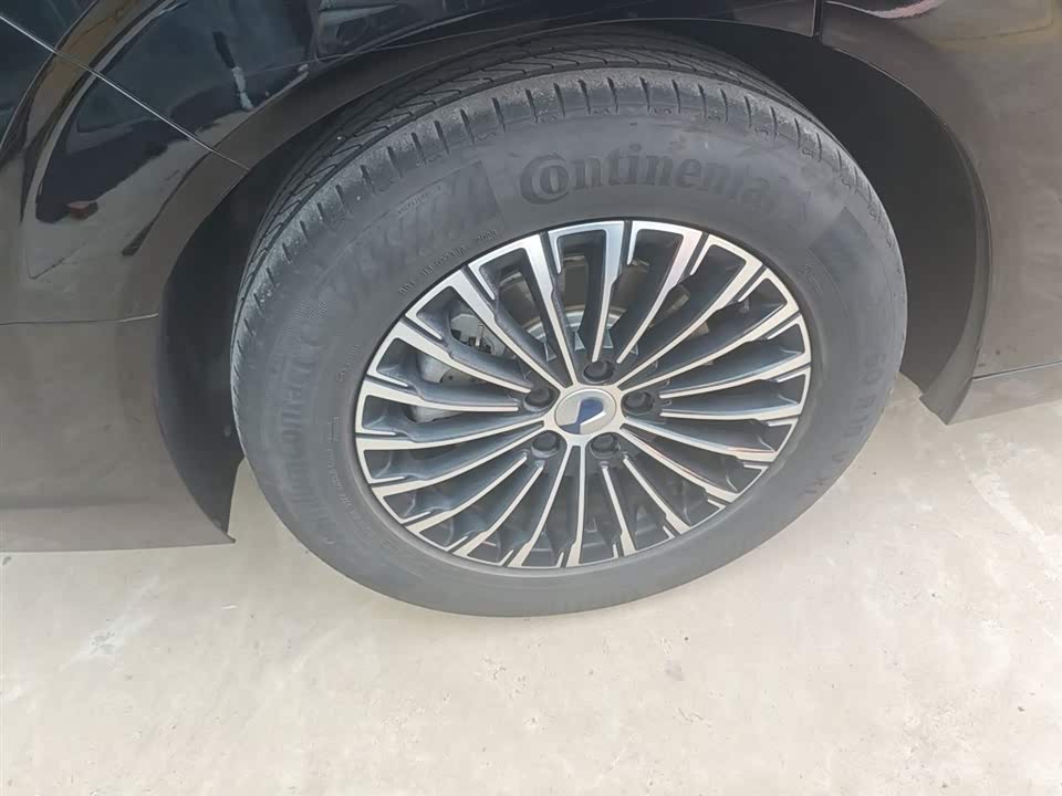 Denza D9 Denza D9